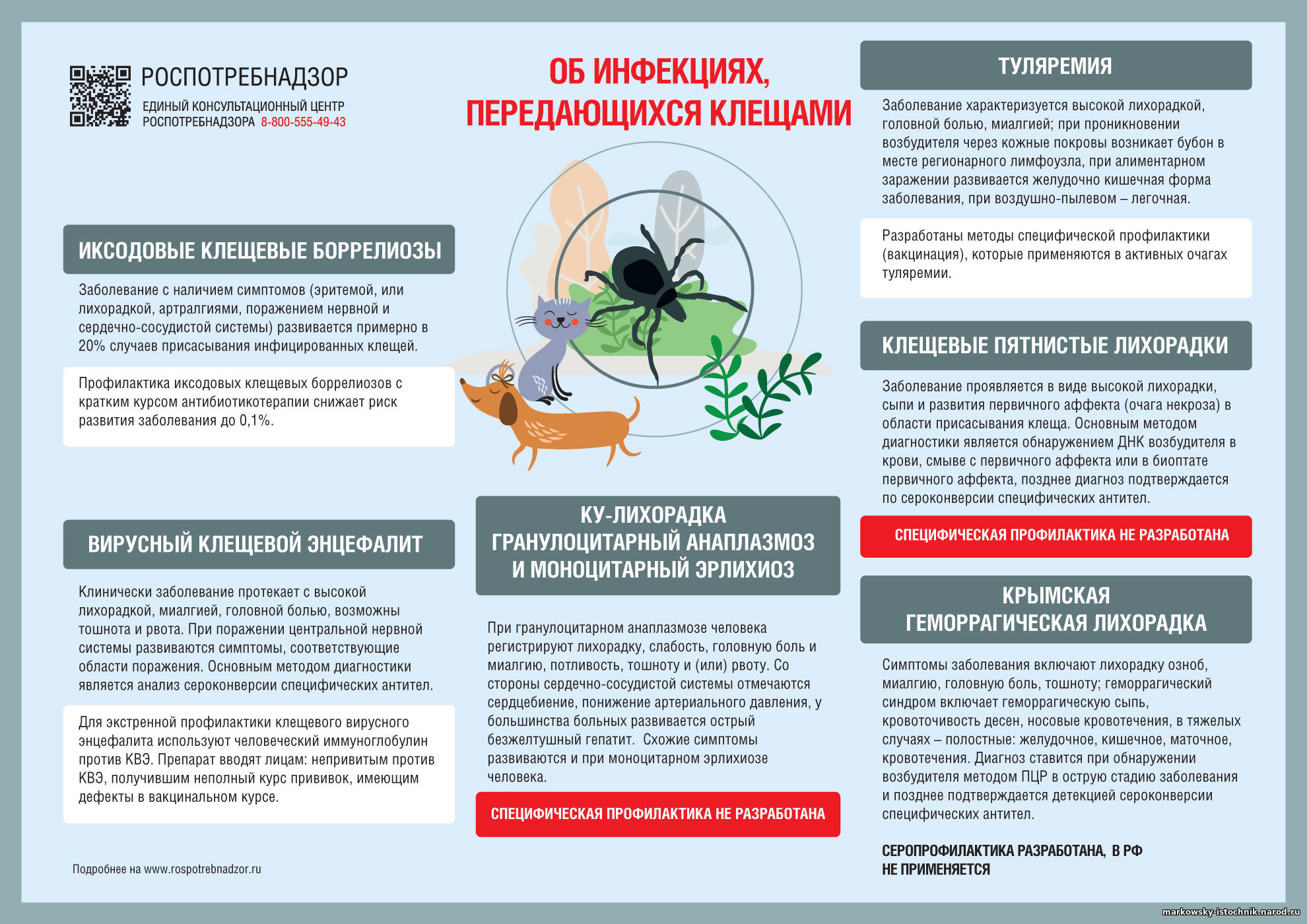 Информация об активности клещей